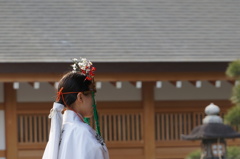 巫女さん