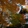 本堂と紅葉