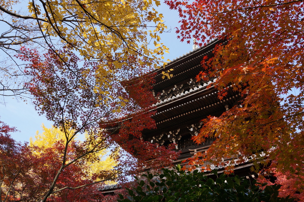 三重塔と紅葉