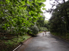 のどが渇いたら。