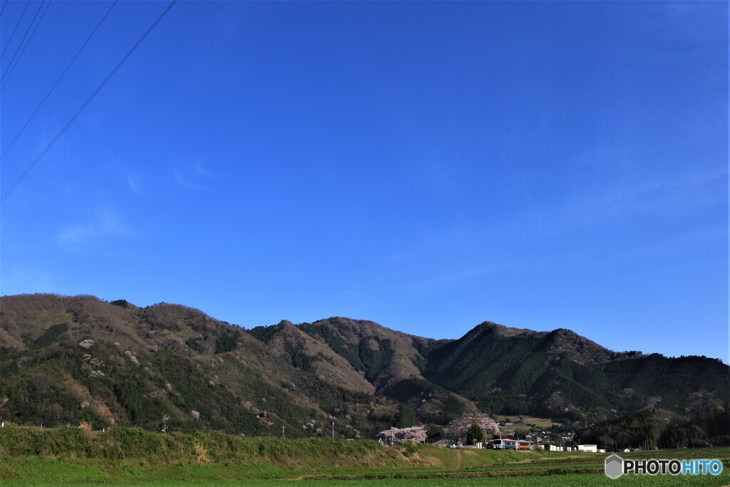気持ちのいい朝