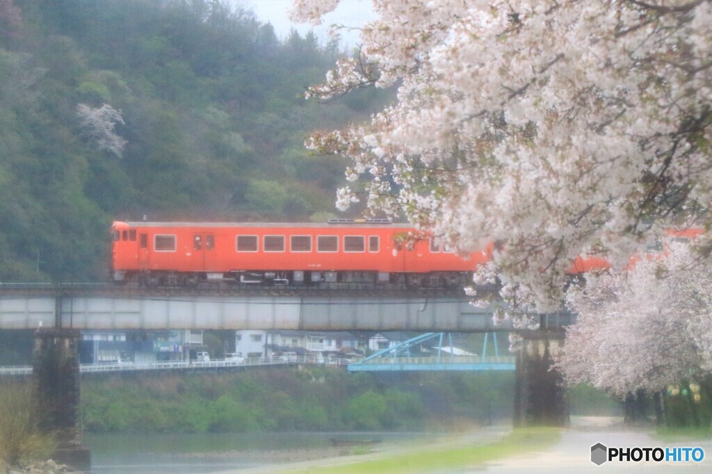 だれもいない雨の河川敷