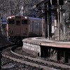 快速ことぶき　3934D