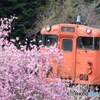 spring train