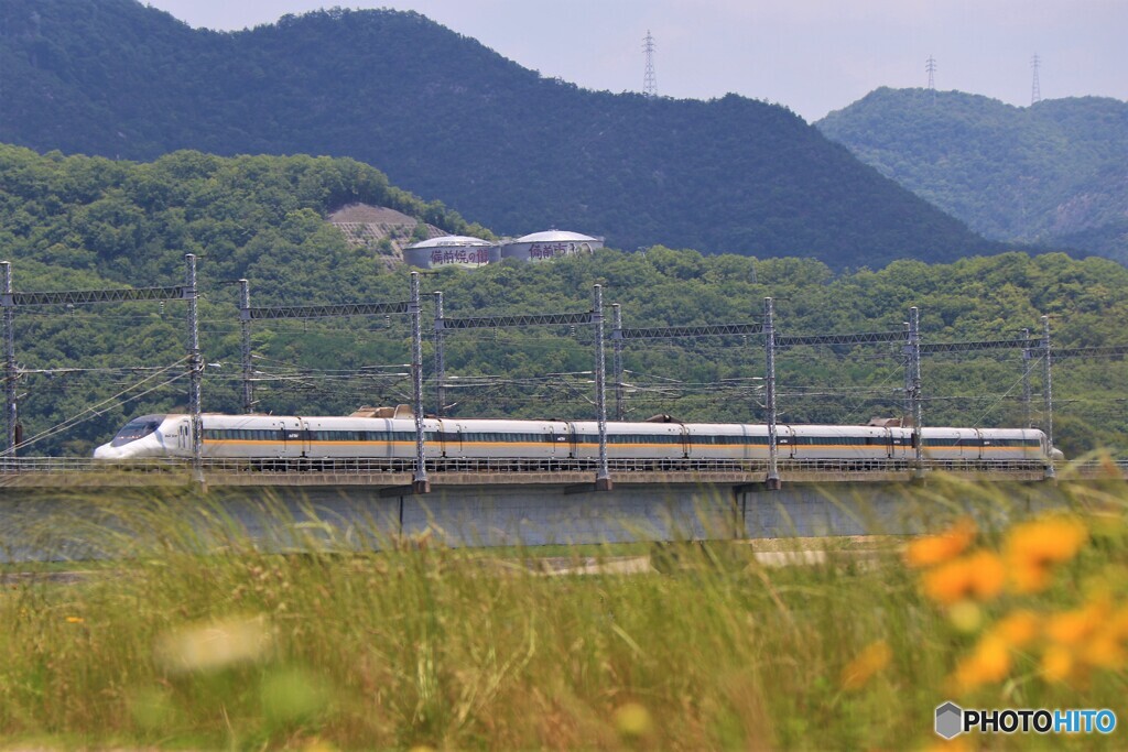 初夏1　Rail Ster