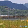 初夏1　Rail Ster