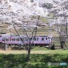 サクラの中を駆け抜ける