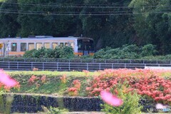 秋の津山線を