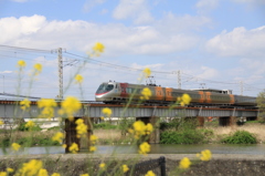 花としおかぜ