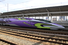 500 TYPE EVA