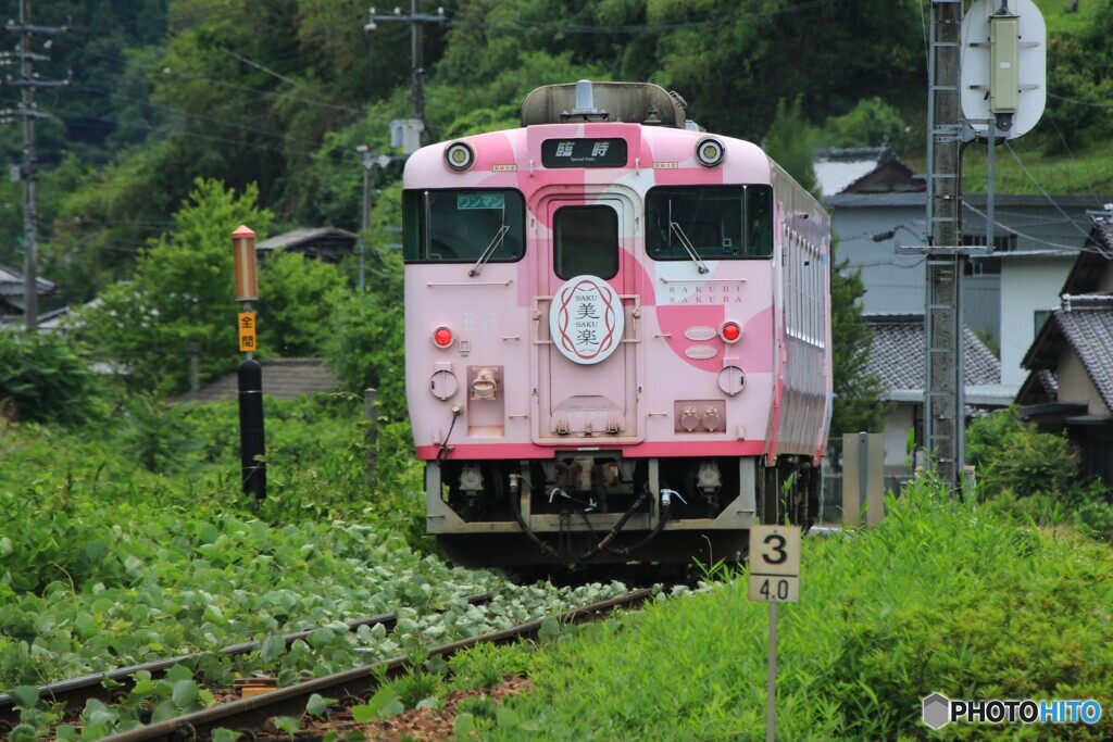 梅雨の晴れ間の津山線