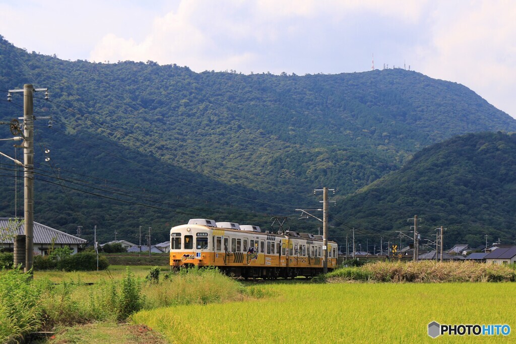 琴電　1200形