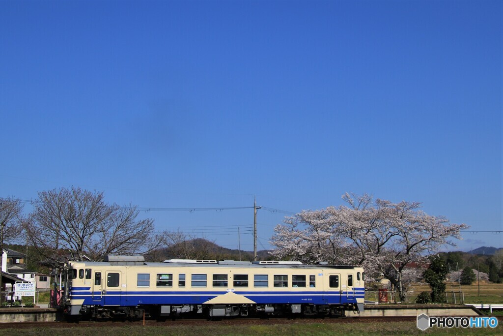 青い空がお似合い(^_^)