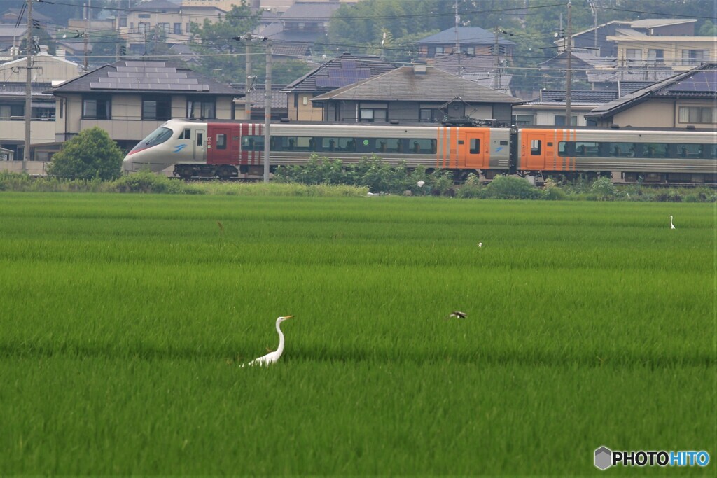 食事中ですがー－－