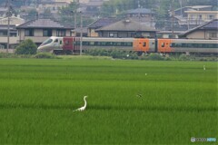 食事中ですがー－－