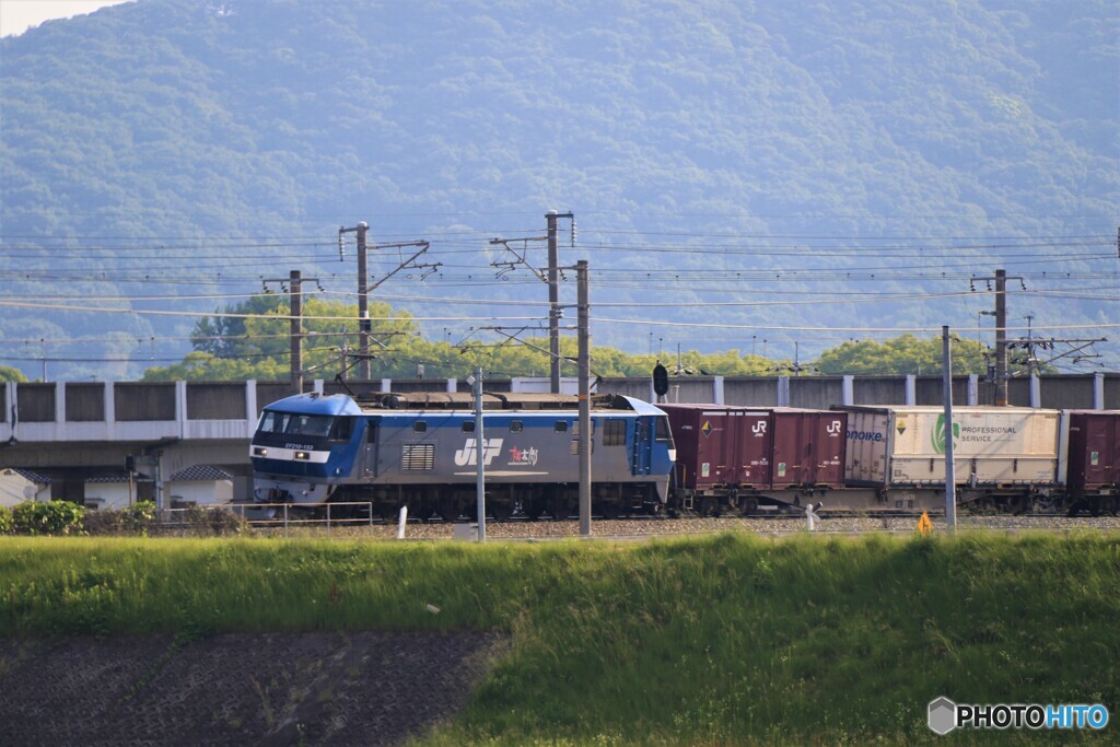 河川敷の桃太郎