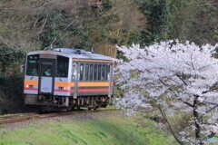 spring　train6