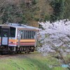 spring　train6