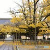 もうすぐ冬