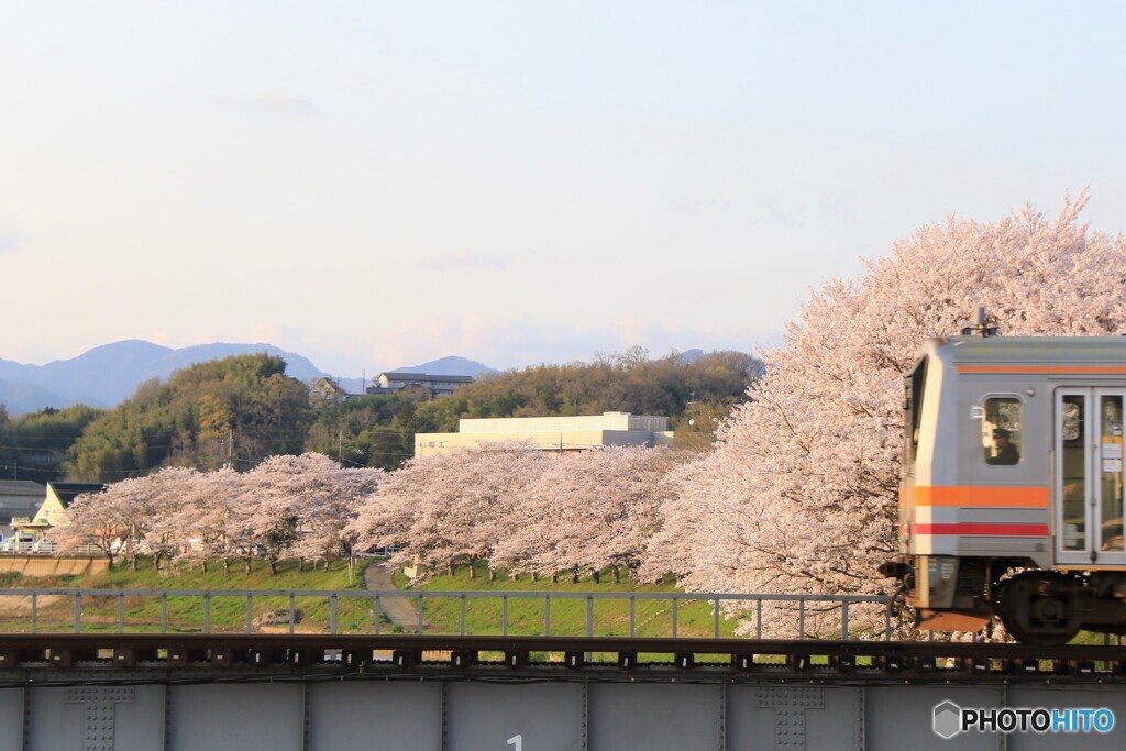 満開
