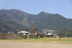 ラスト　スローライフ