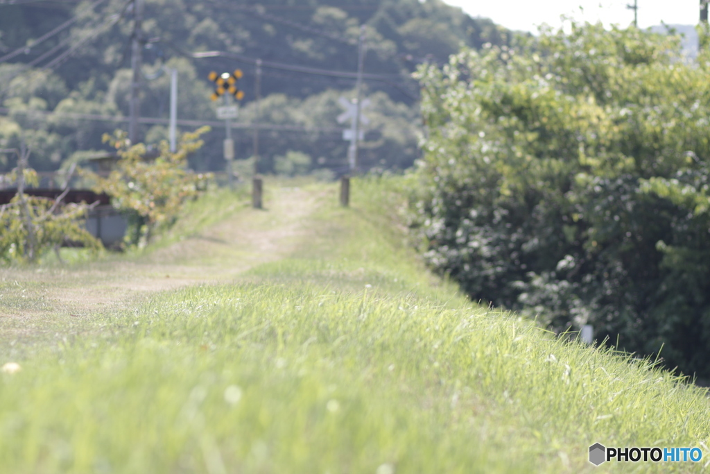 夏休みの記憶