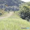 夏休みの記憶