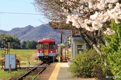spring train2