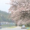 雨の散歩