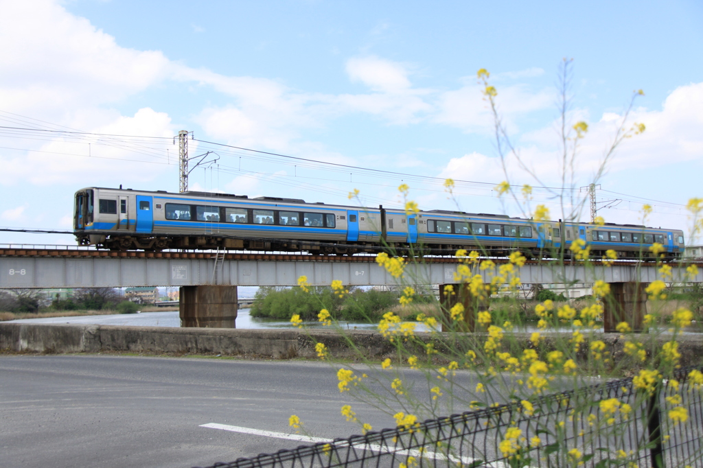 花と南風