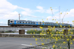 花と南風