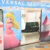 夢の国へのお誘い