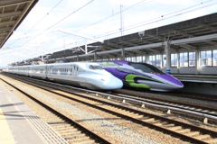 500　TYPE　EVA