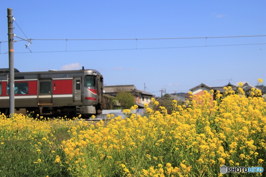 spring　train4