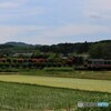 大好きな駅