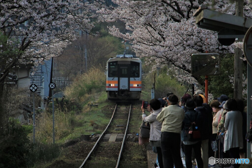 spring　train5