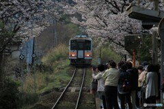 spring　train5