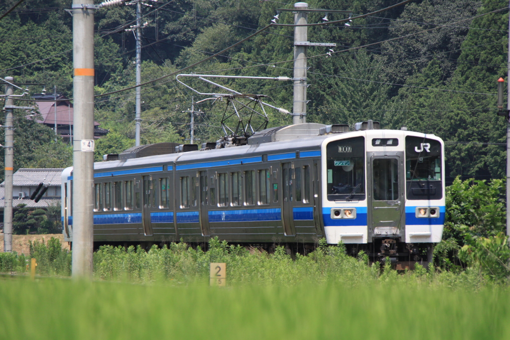 田んぼのモハ213