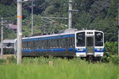 田んぼのモハ213
