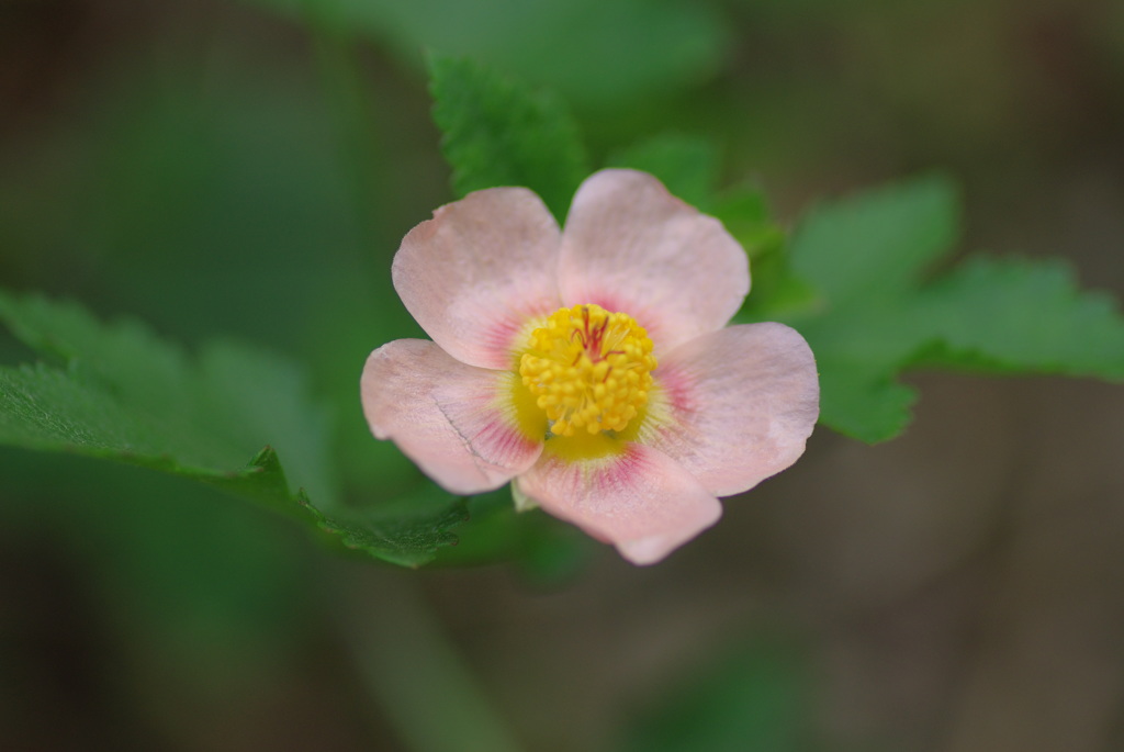 IMGP3169