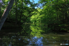 大沼２