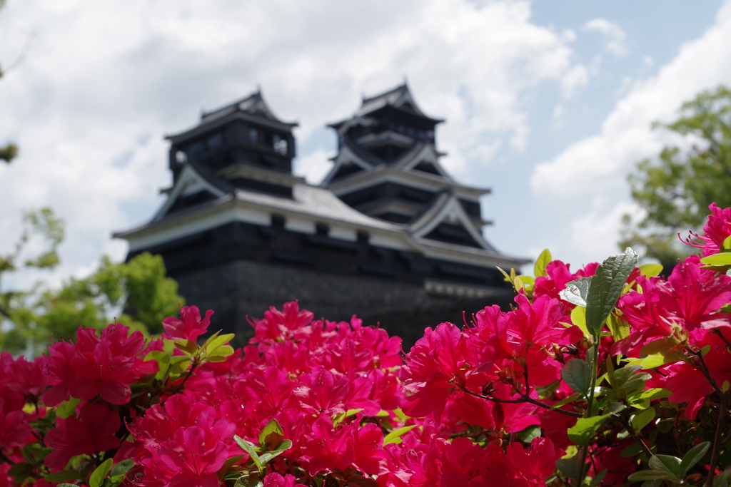 熊本城