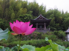 蓮興寺