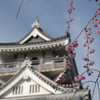 小山城跡