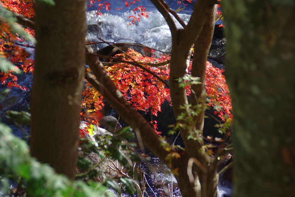 芦川渓谷