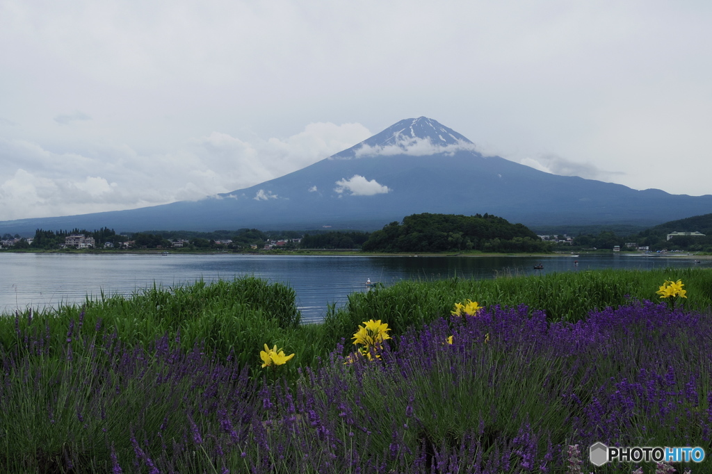 富士山（河口湖より）