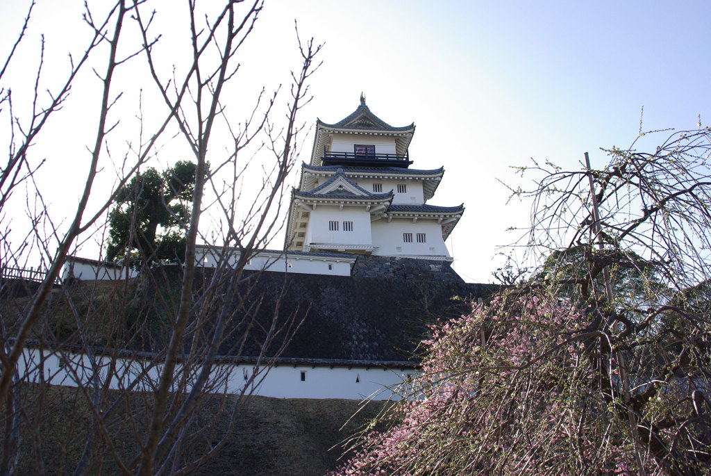掛川城・梅