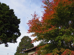 豊門公園