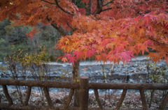 大柳川渓谷