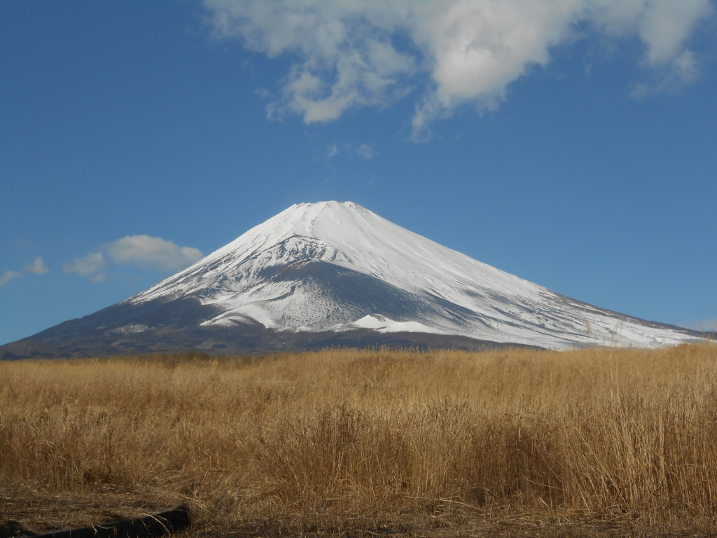 １月２４日　富士山